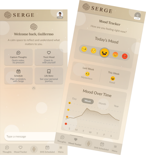 Serge app on laptop — welcome screen with journal and progress cards